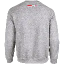 Sweat gris Lifelive 2.webp